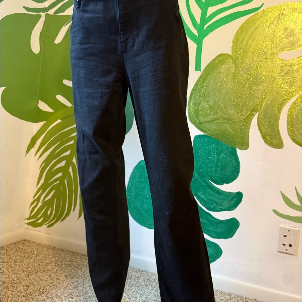 Hudson Jeans Black Collin Flap Skinny Mid Rise Stretch